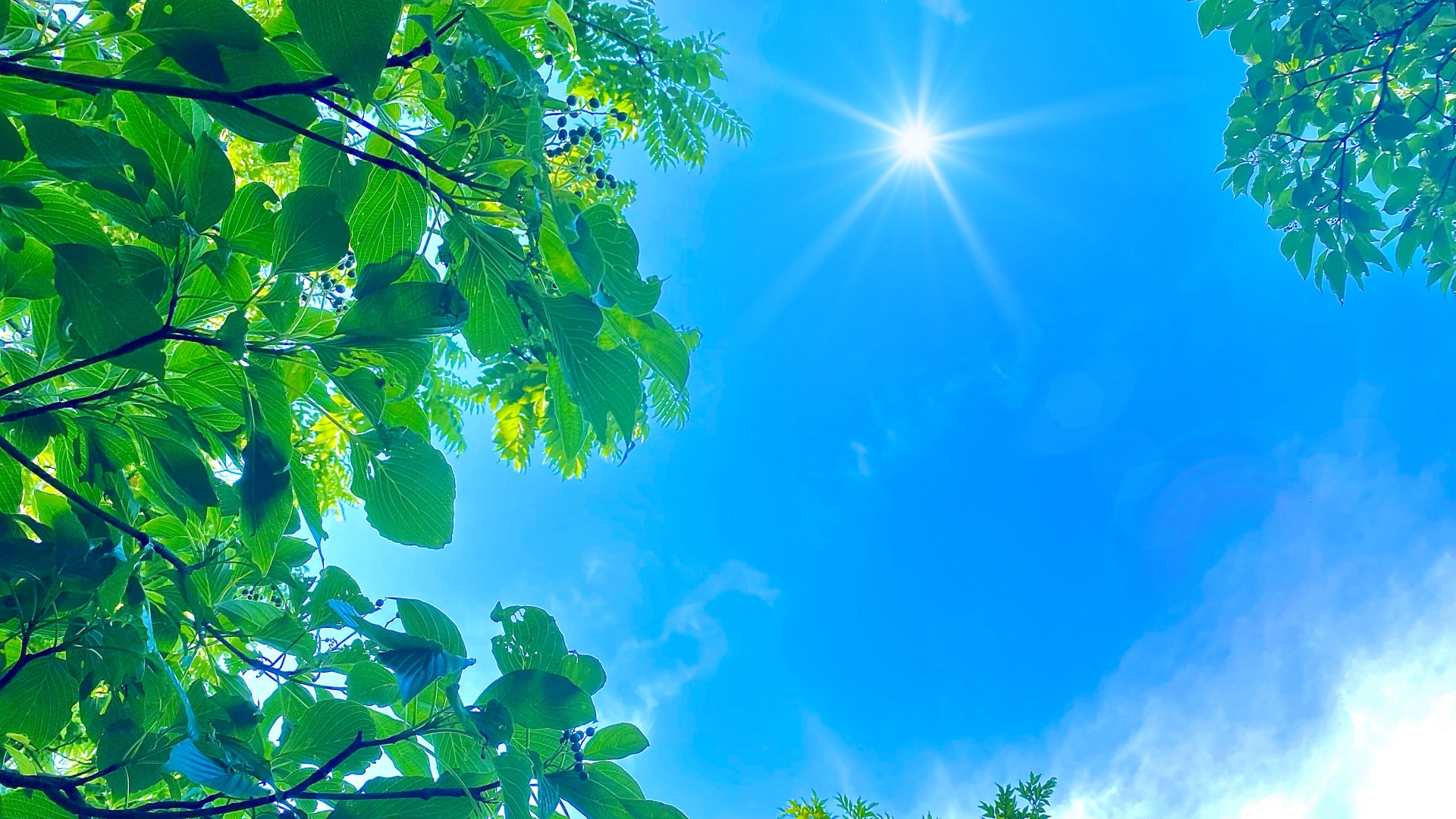 5月・6月の強い日差しと紫外線のイメージ